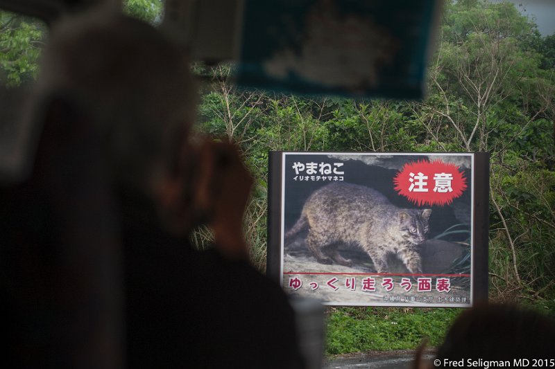 20150322_115358 D3S.jpg - The Iriomote wildcat is found solelu on Iriomote Island.  It is severely endangered.  Road signs enourage care.  In endangered areas there are small humps on the road to make vehicular noise and  there are tunnels under the road so that the cat can pass underneath.